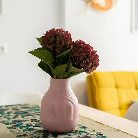Precioso Apartamento Con Parking Gratuito-centro Apartment