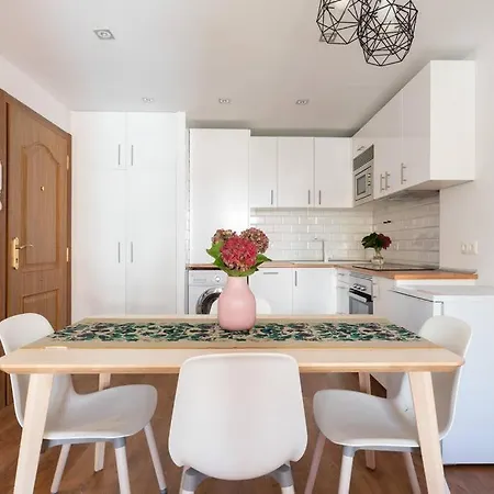 Precioso Apartamento Con Parking Gratuito-centro