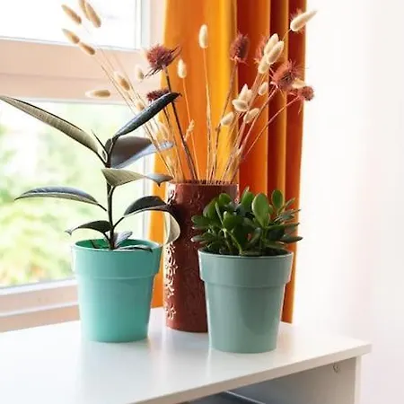 Apartamento Precioso Apartamento Con Parking Gratuito-centro